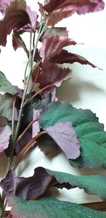 Malvas artifíciais.