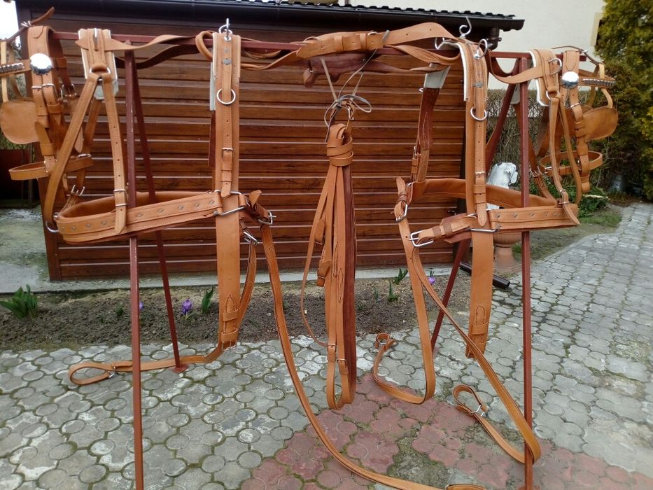 Uprząż, Szory na parę koni