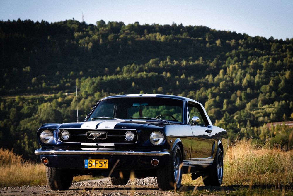 Mustang 1966 do ślubu. Samochód na ślub, wesele, auto do ślubu, wynaje