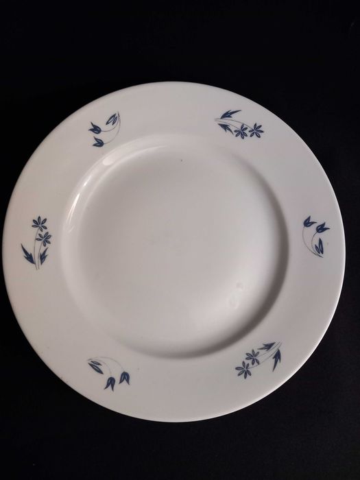 Prato Vista Alegre Flores azuis