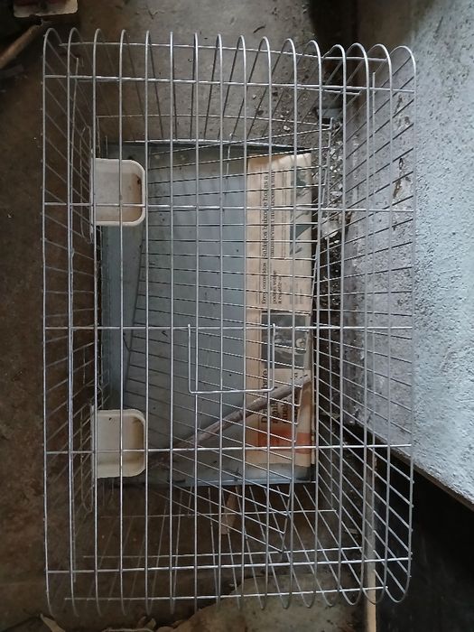 Gaiola pássaros grandes