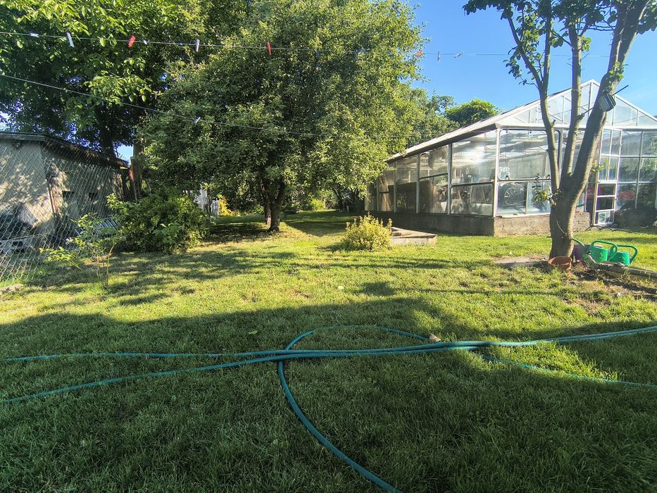 Piękna działka  ROD Pod Jabłonią 600 m², wda miejska, gruntowa, prąd, siła 400v, szklarnia. - Widok 2