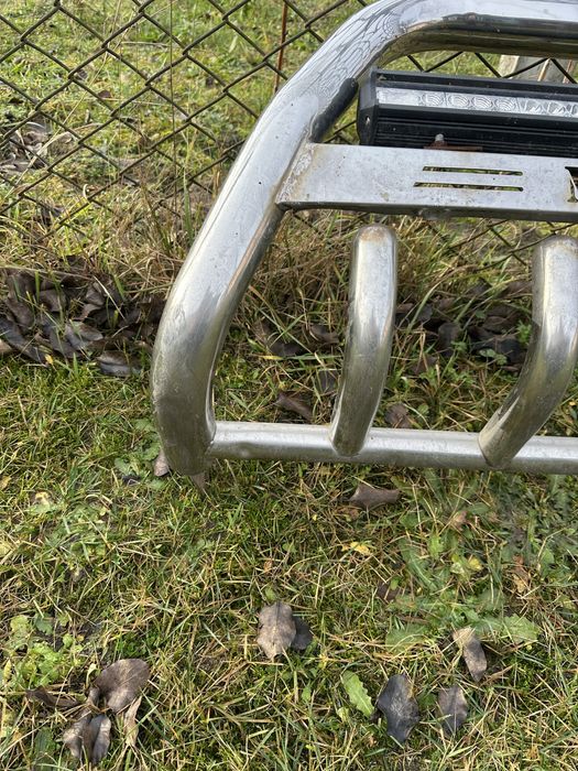 Кінгурятнік на віто 639