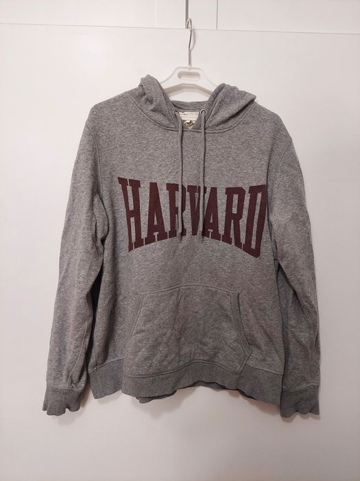 Bluza szara z długim rękawem Harvard H&M plus size EU XL