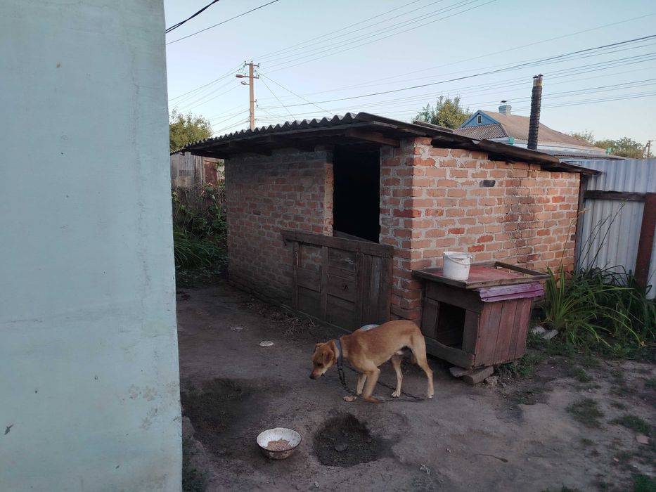 Продам будинок Сєрова 7 Сахновщина