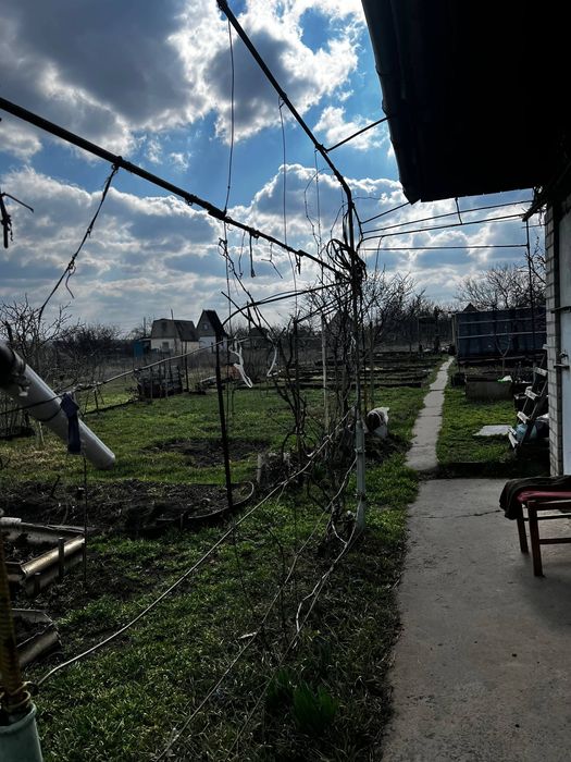 Дача,даманский, придорожное