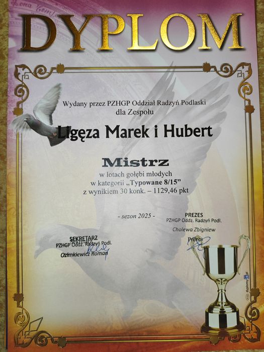 Młode gołębie pocztowe – 2026