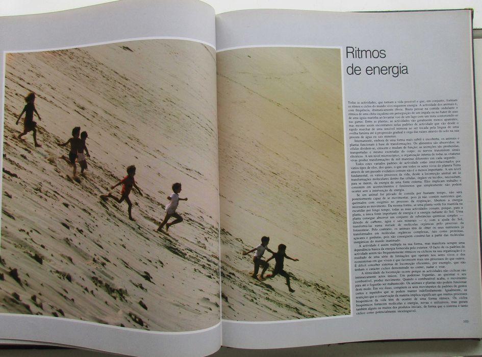 Os Ritmos da Vida - - - - - Enciclopédia