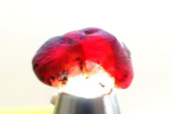 Lote de 5 Cristais de Rubi Bruto (55 ct / 11.15g) - Não Tratado,