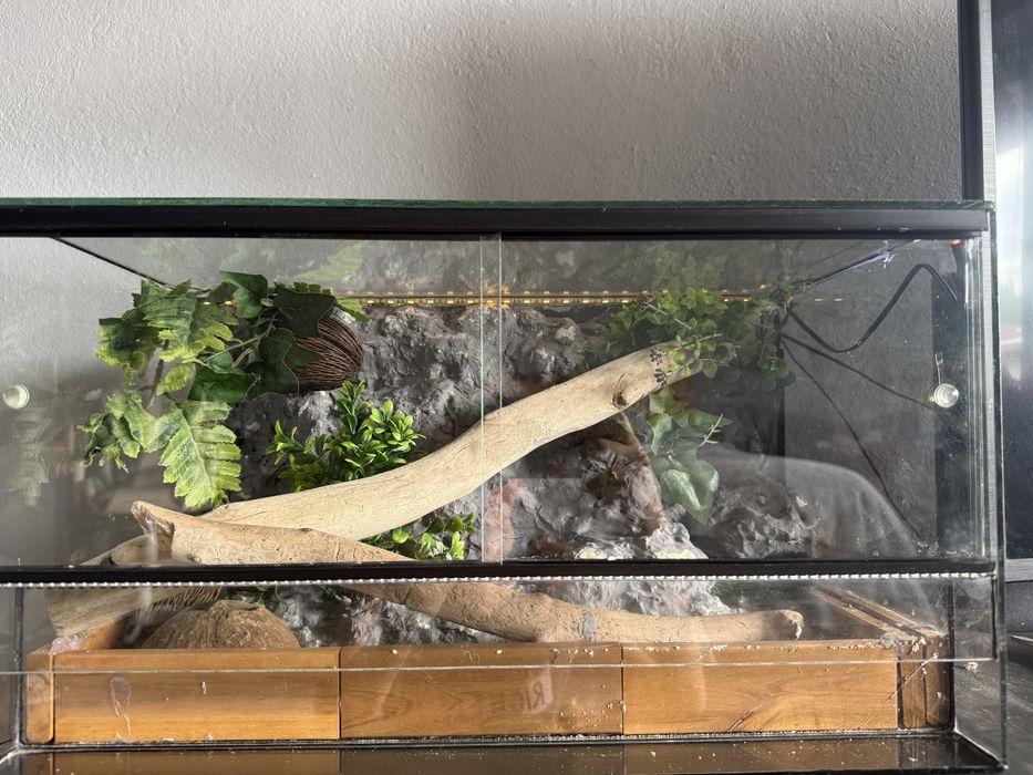 Terrarium dla gekona