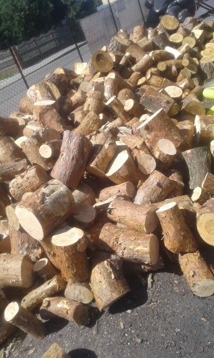 Drewno opałowe Brześć i okolice