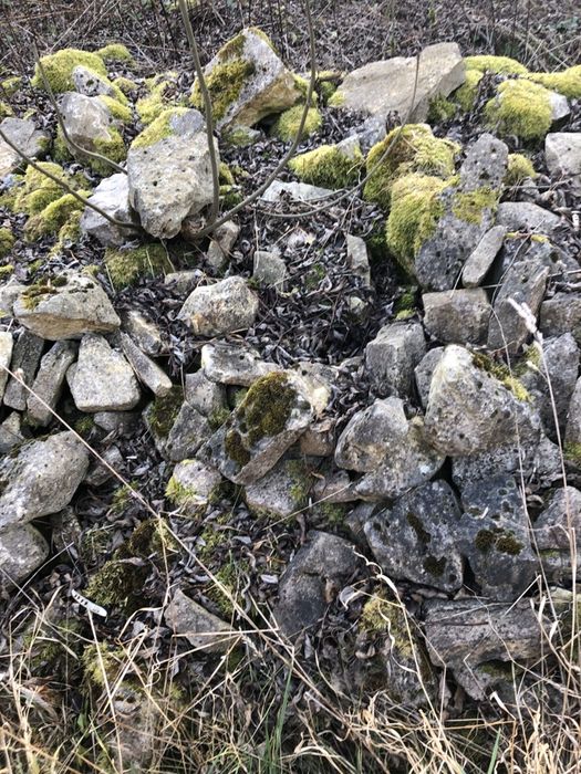 Kamienie polne- duża ilość