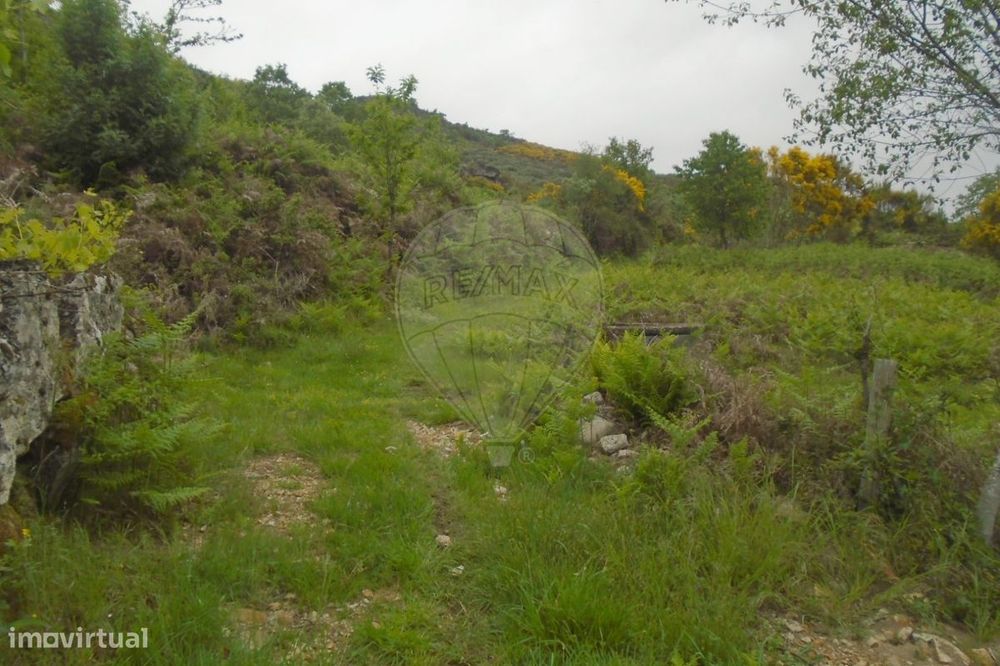 Terreno  para venda