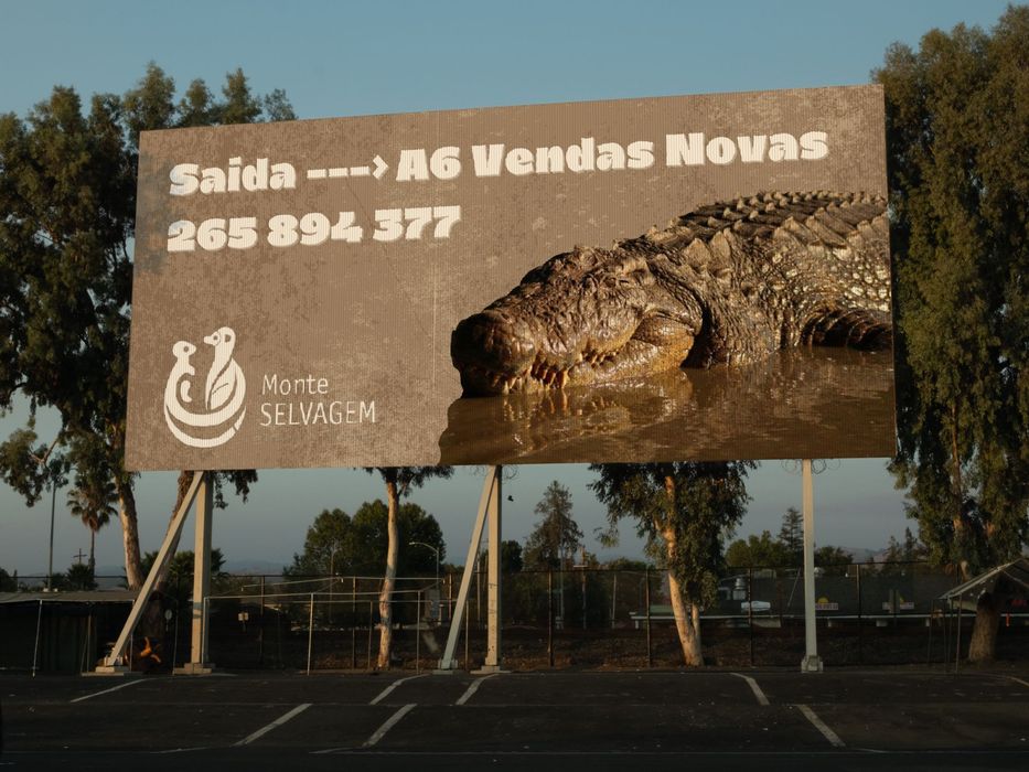 Designer Gráfico Criativo – Logótipos, Branding e Redes Sociais