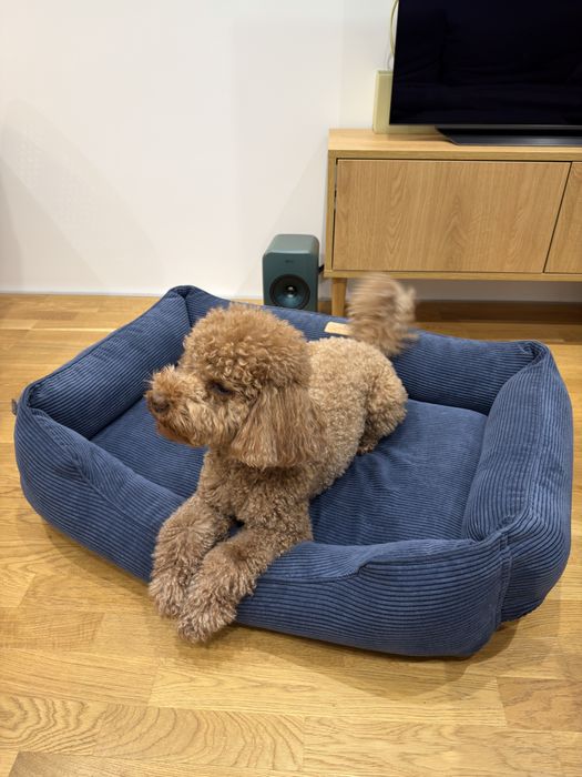 Лежанка Harley & Cho розмір L