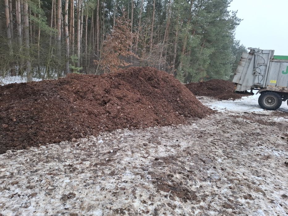 Sprzedam podkład z pieczarek
