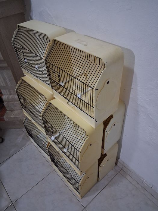 10 gaiolas de exposição