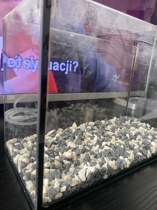 Sprzedam małe akwarium z Pompka