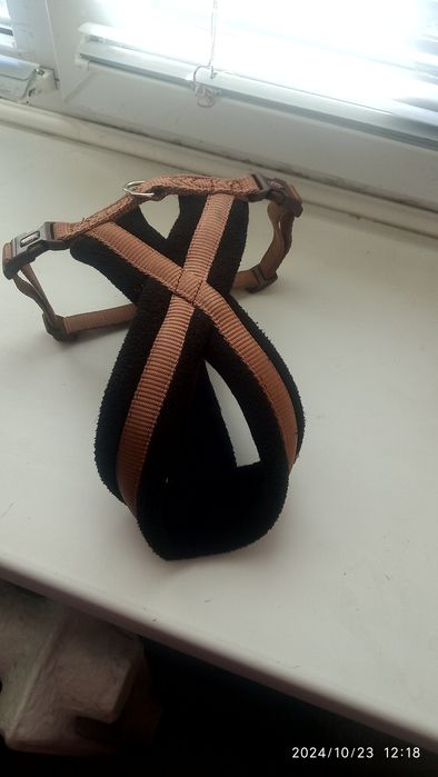 Ошейник для собак