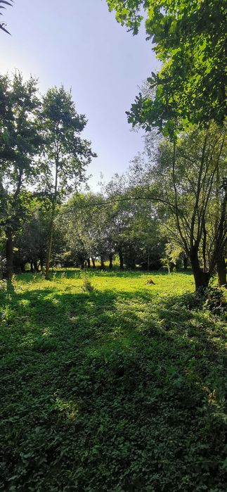 Działka 38 arów – Damienice, gmina Bochnia | Spokojna okolica | Duży potencjał - Widok 4