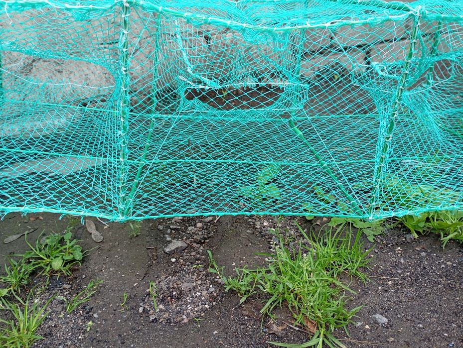 Раколовка гармошка,8 метров, рачница, кишка, баян