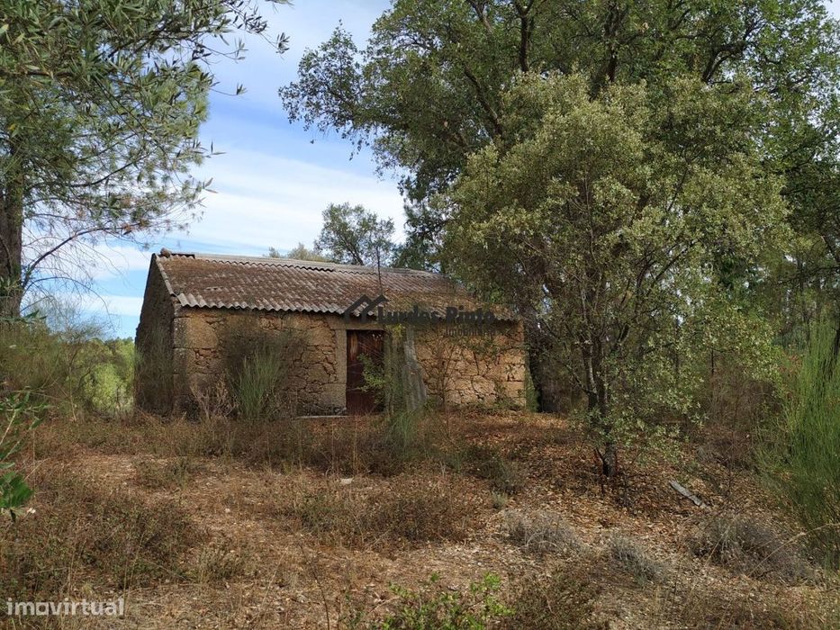 Quinta com casa em pedra