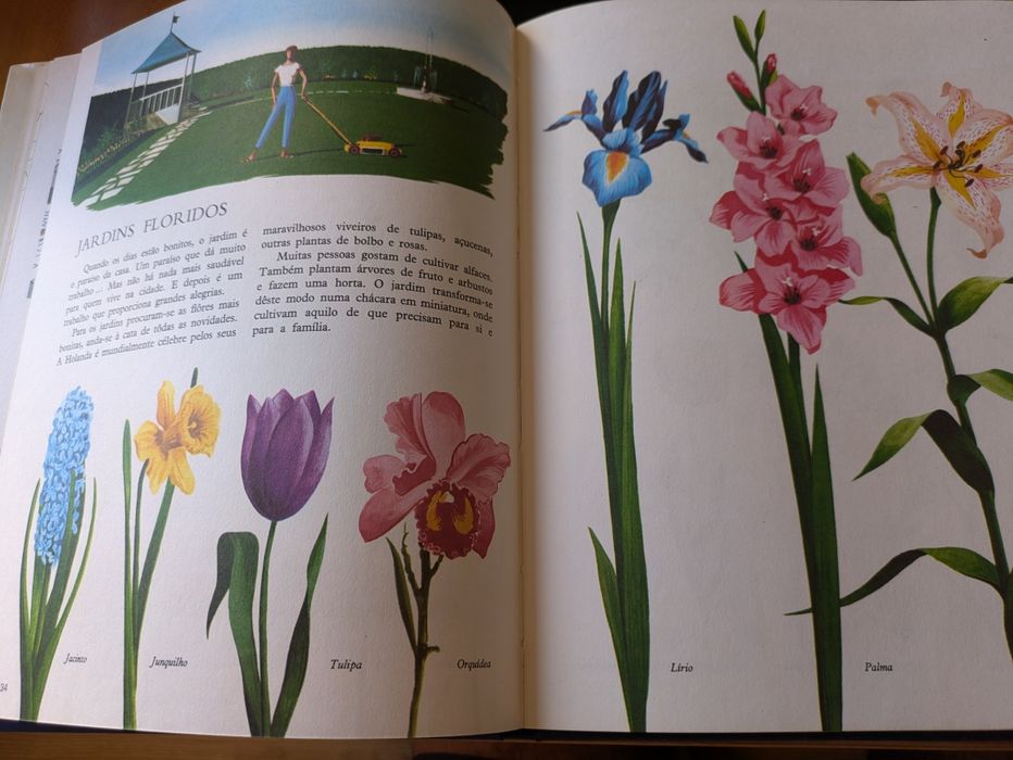 Enciclopédia Infantil da Verbo