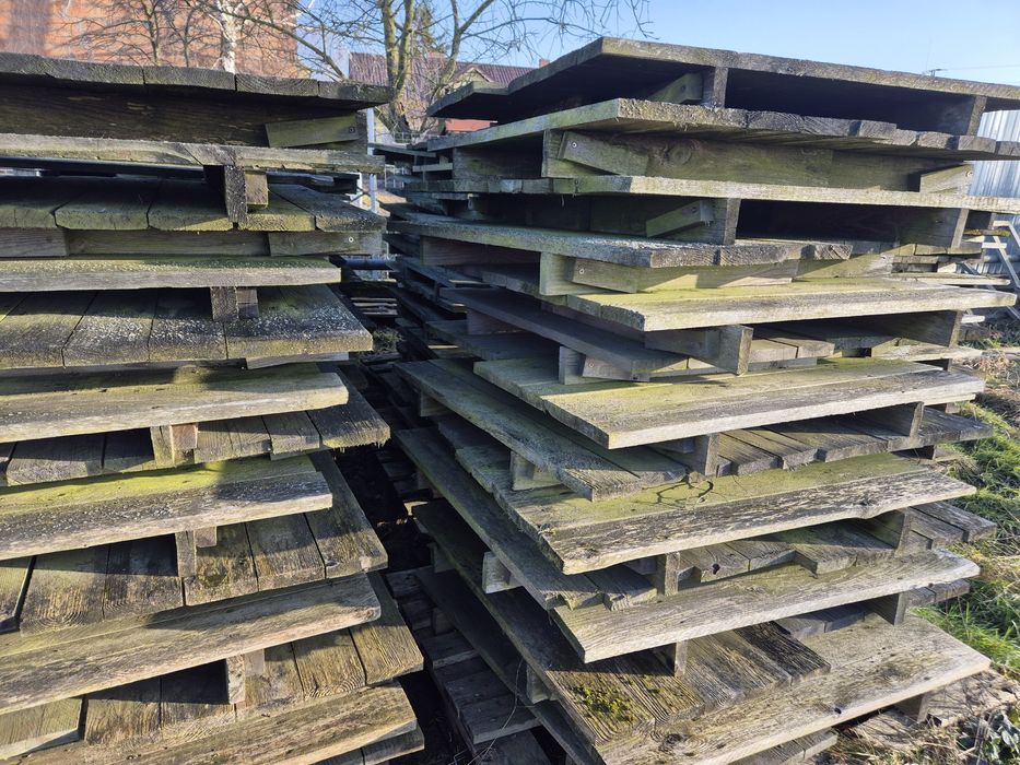 Palety hodowla ślimaków paśniki