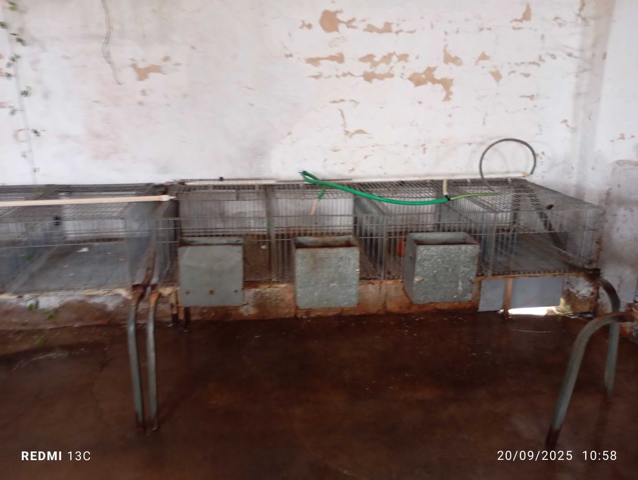 Jaulas /para coelhos