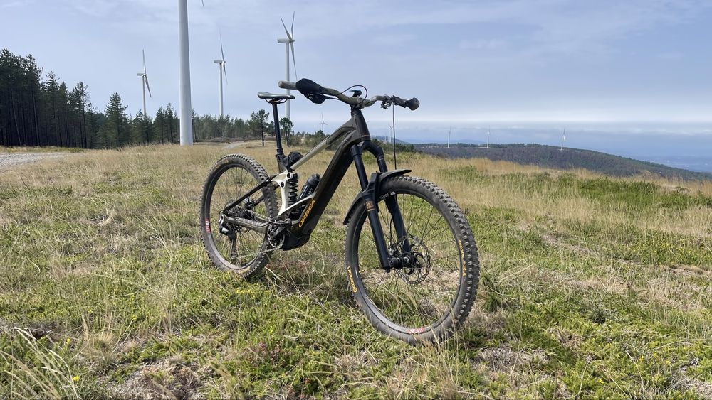 Orbea Wild 2026 (Completa ou só quadro)