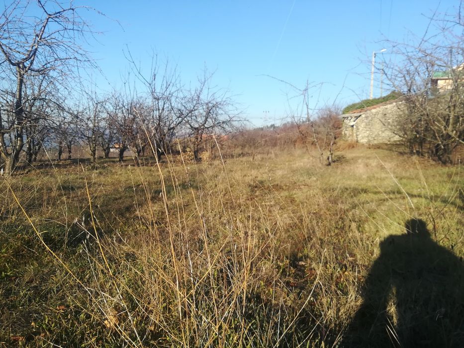 Quinta com possibilidade de construção