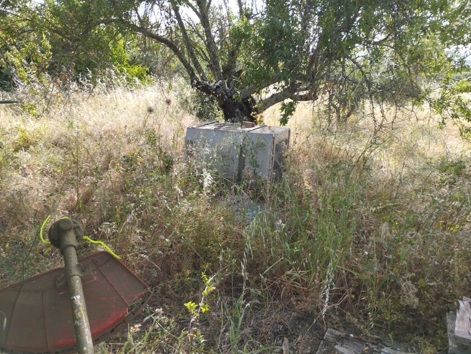 Prestação de serviços de jardinagem