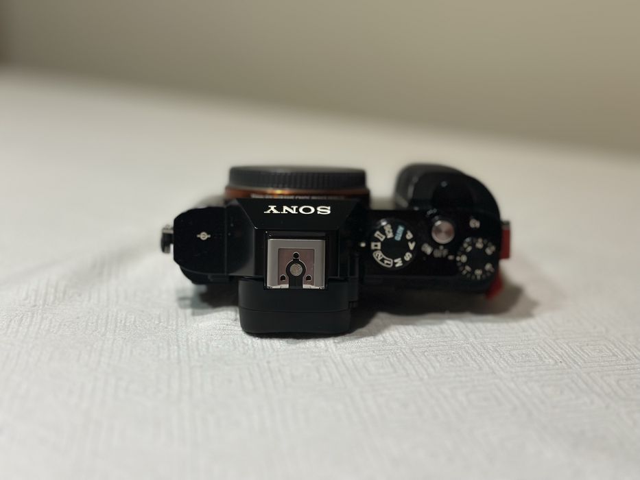 Sony a7s com cage movcam