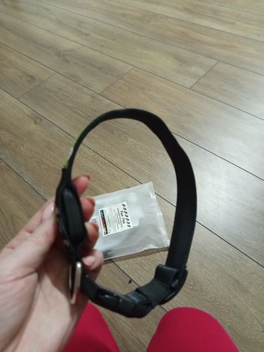 Świecąca obroża dla psa