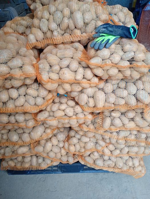 Sprzedam ziemniaki 8zł. Soraya.