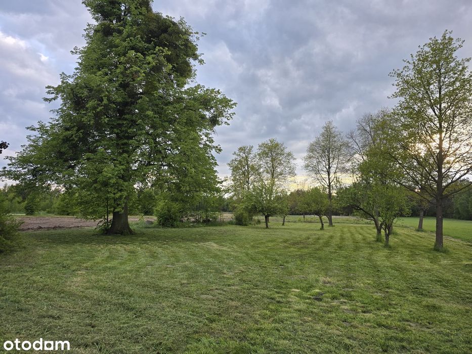 Działka budowlana blisko Łodzi, bez prowizji