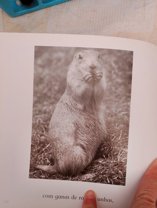 Livro. Ilustrado. Motivacional