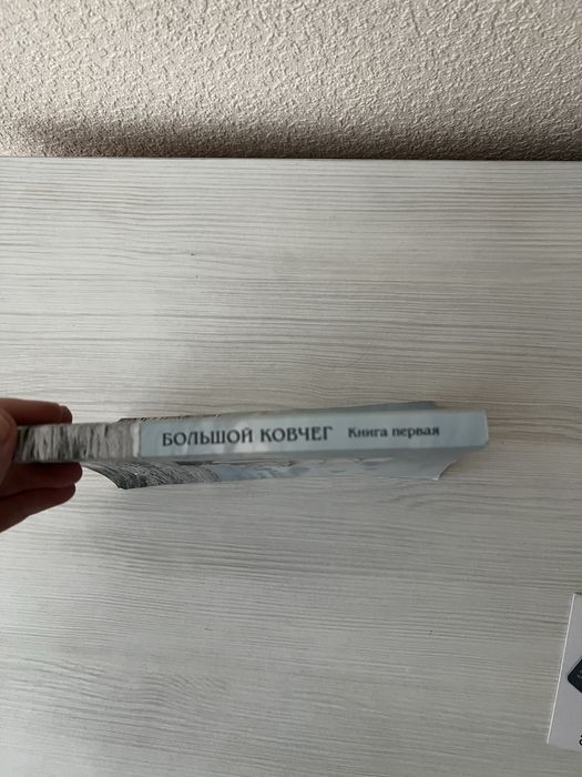 Большой ковчег. Книга первая - Вайнер М., Ховкин Э.