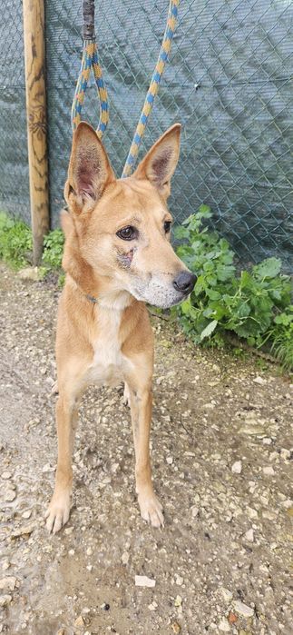 Cara sofrida merece ser feliz certo?