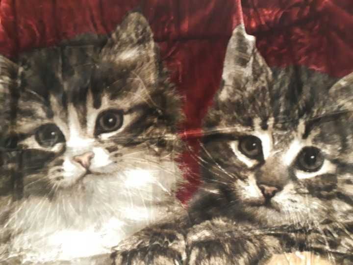 Gruby koc akrylowy Elway 210x160