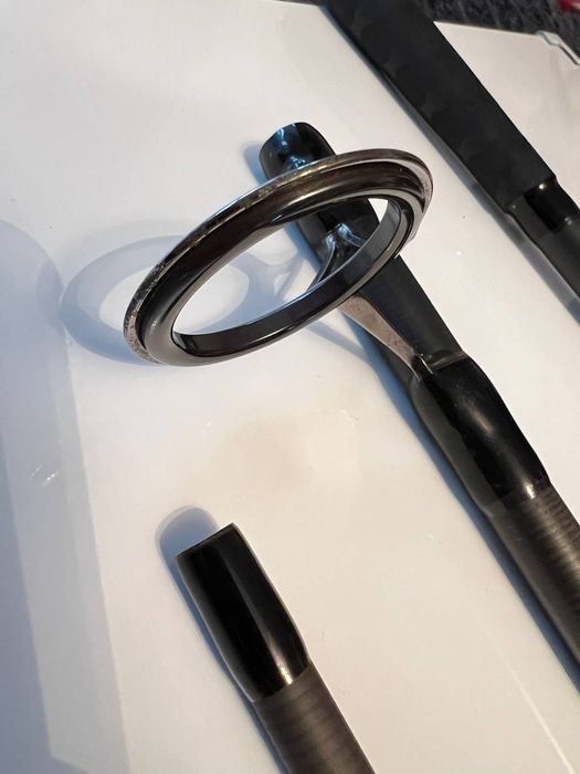 Carp Expert Double Tip Heavy Wędka karpiowa