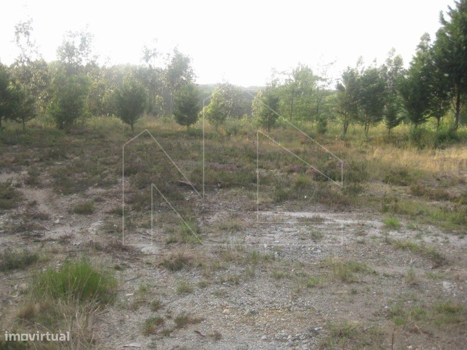 Lote de Terreno — Albergaria-A-Velha E Valmaior, Aveiro