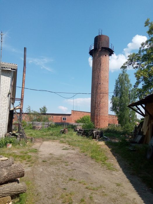 Продаж столярного цеху, Малин
