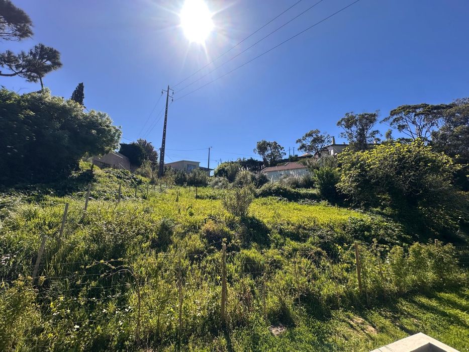Terreno com casa T1