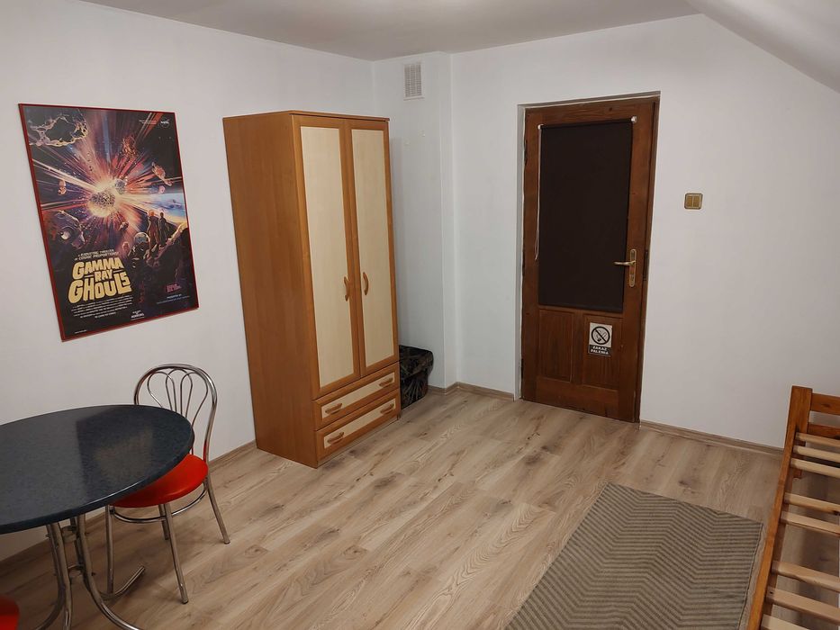 Pokój do wynajęcia/Centrum Krosna/ Internet