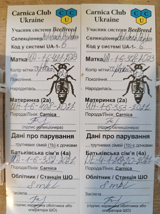 Бджоломатки Карніки .