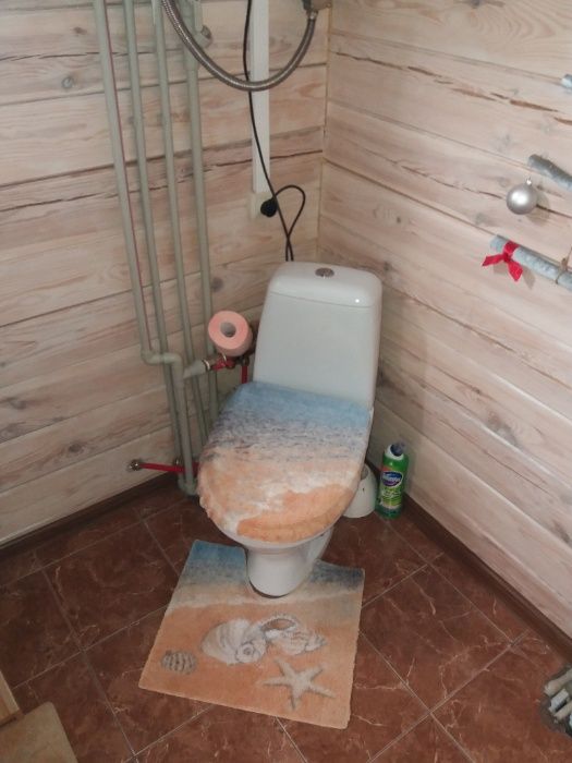 Продам чудовий будинок в с. Кієнка, Чернігівського р-ну