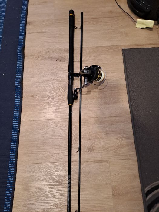 Barbatanas e  cana de pesca