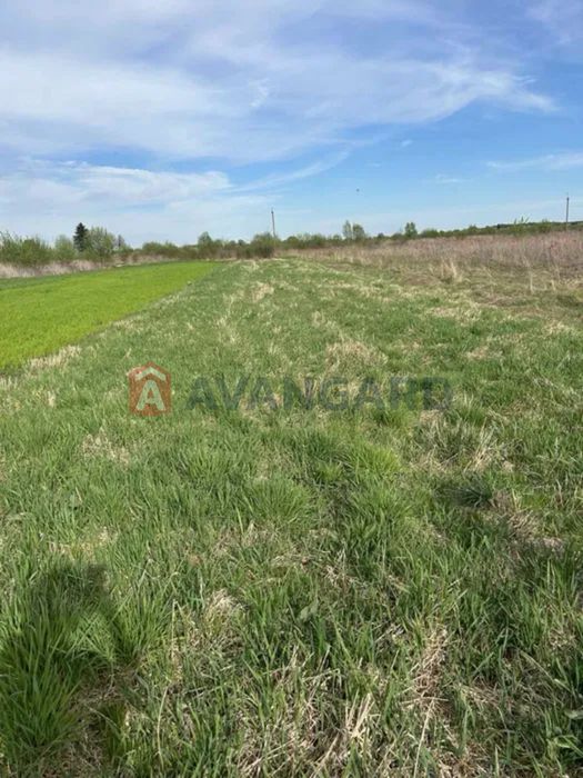 продаж ділянки в с.Суховоля