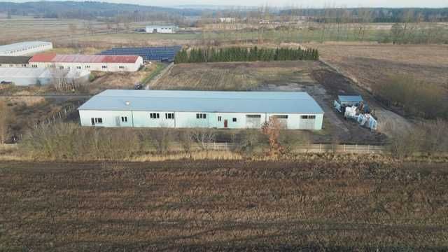 ŚWIDWIN - Hala, duża działka - inwestycyjna!!! PROMOCJA!